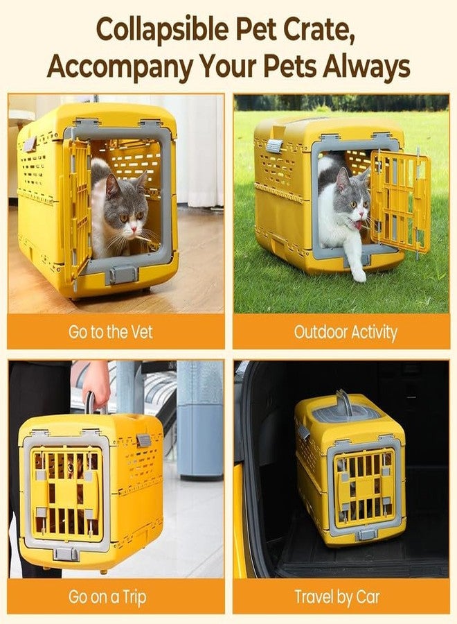 BohoBark Puppy Crate Heavy Duty Cat Transport Box for Rabbit Kitten Puppy (Yellow) - Image 4